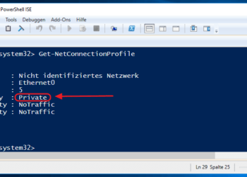 Window Netzwerkprofil mit der PowerShell ändern - Anzeige des Netzwerprofil