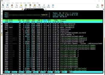 Rootserver überwachen mittels htop
