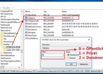 Das Windows Netzwerkprofil in der Registry ändern! Für Windows 10