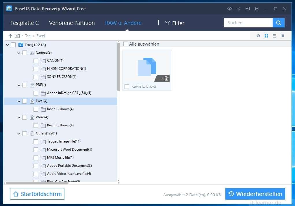 Soll lassen sich Daten mit EaseUS Data Recovery Wizard Free wiederherstellen 10 EaseUS Data Recovery Wizard - RAW und Andere Dateien auflisten