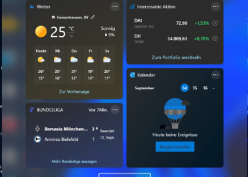 Windows 11 Einzelne Widgets Anpassen
