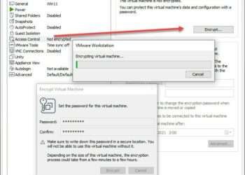 VMWare Workstation TPM Für Windows 11 Hinzufügen 1