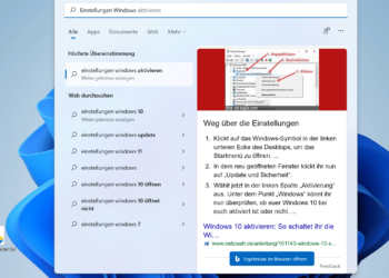 Websuchen unter Window 11 im Startmenü deaktivieren