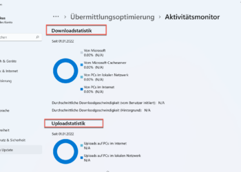 Windows 11 Updates - Aktivitätsmonitor
