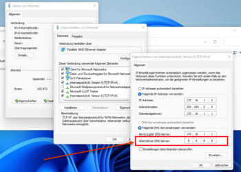 Alternativen-DNS-Server-eintragen
