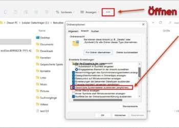Windows-11-versteckte-Systemdateien-anzeigen