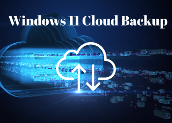 Windows 11 Cloud Backup